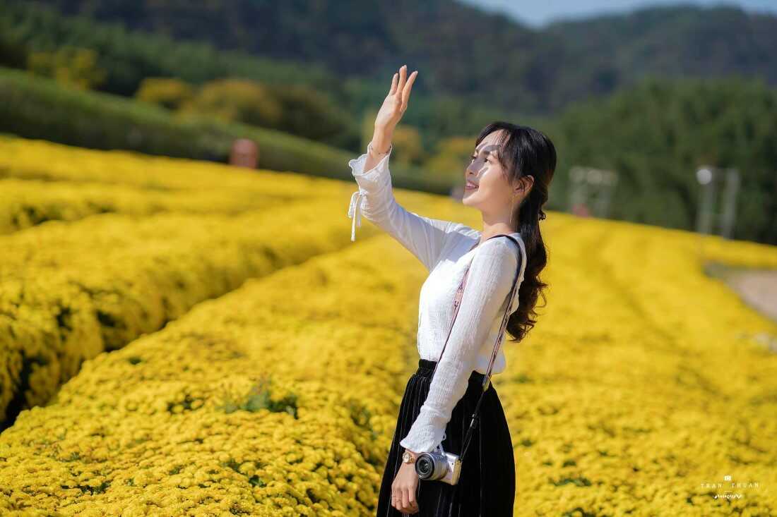 Cách tạo dáng chụp ảnh với hoa cúc vàng